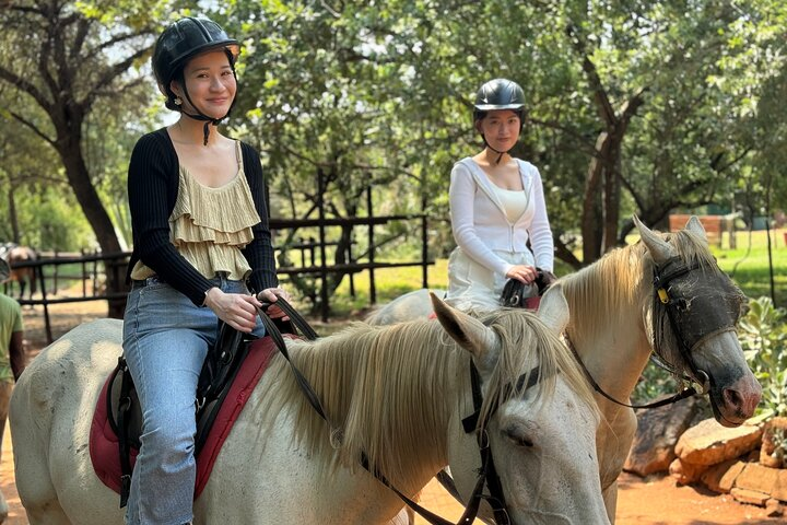 Exhilarating Horseback Safari from Johannesburg - Photo 1 of 11